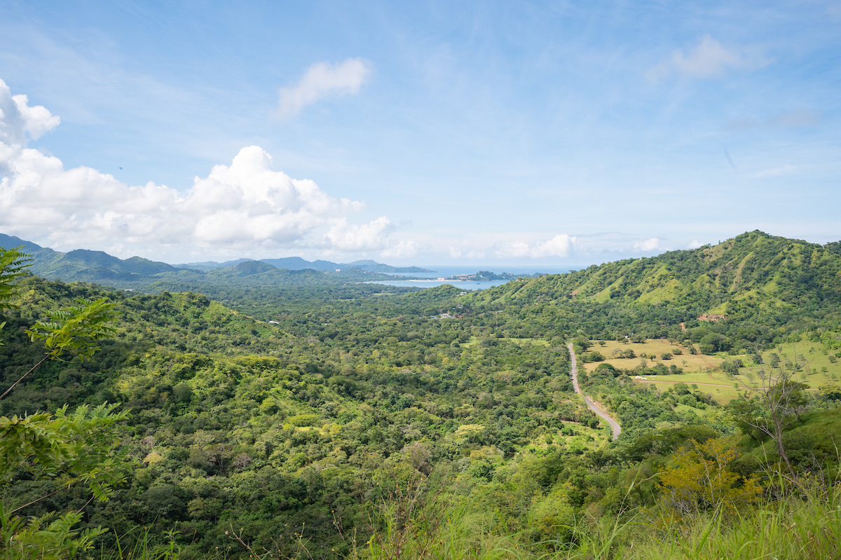 Ocean View Development Opportunity. 30 Hectares With Water Availability  Monkey Trail