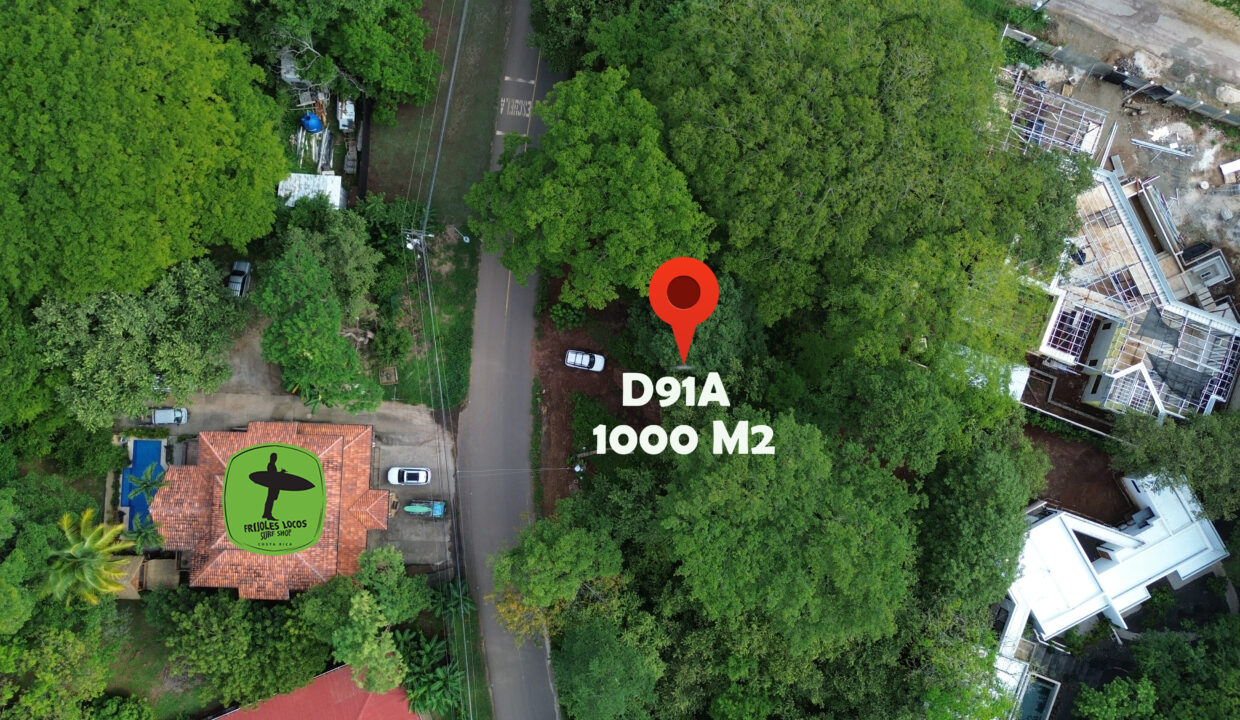 DCIM101MEDIADJI_0462.JPG