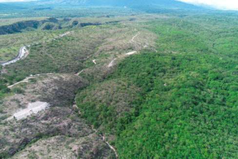 LIBERIA 195 HECTARES (2)