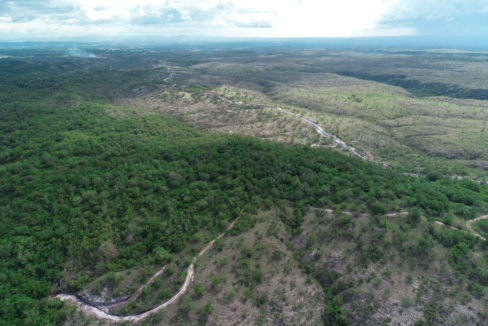 LIBERIA 195 HECTARES (4)