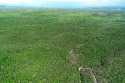 LIBERIA 195 HECTARES (5)