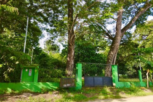 Surside lot for sale (2)