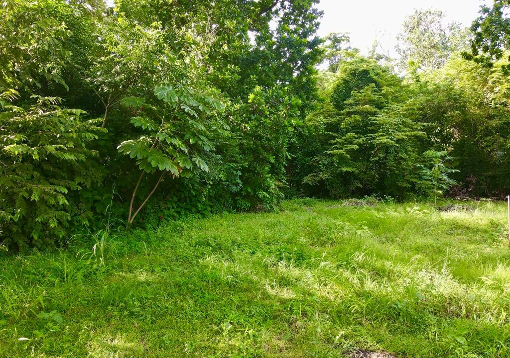 Surside lot for sale (6)