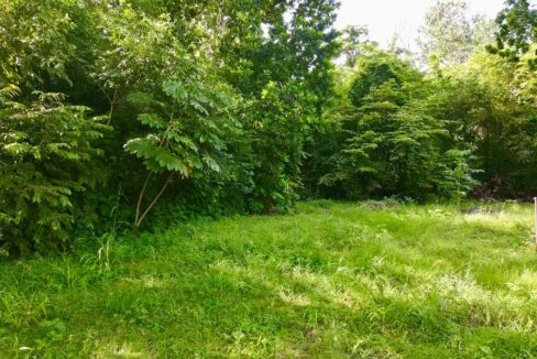 Surside lot for sale (6)
