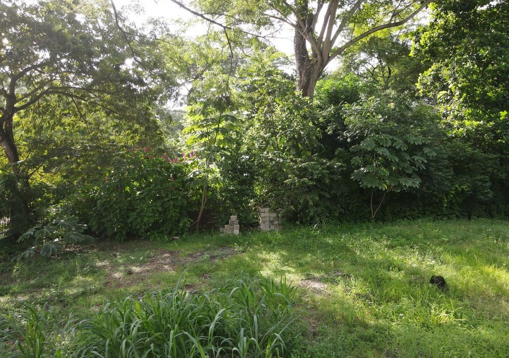 Surside lot for sale (7)