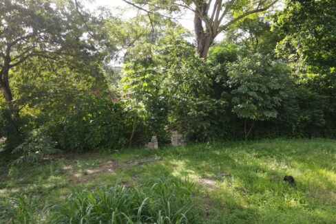 Surside lot for sale (7)