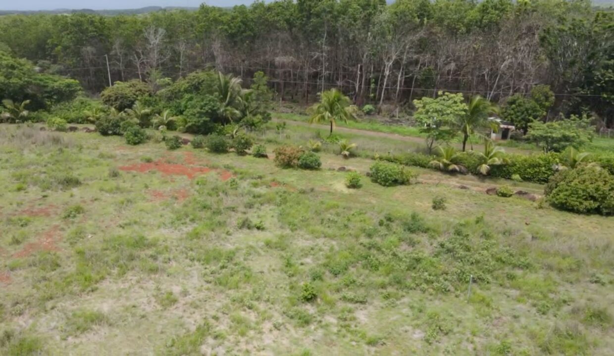 LA CRUZ LOT FOR SALE (2)