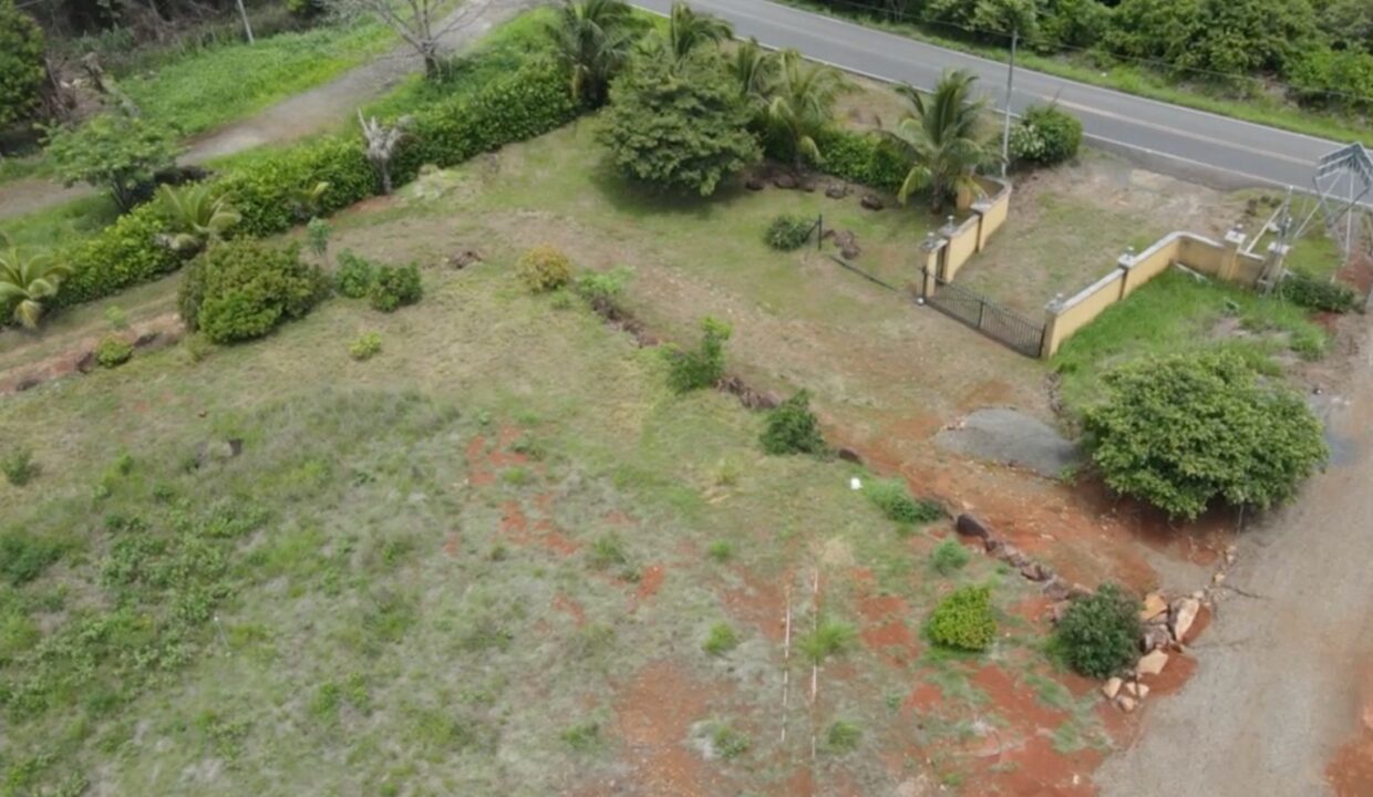 LA CRUZ LOT FOR SALE (4)