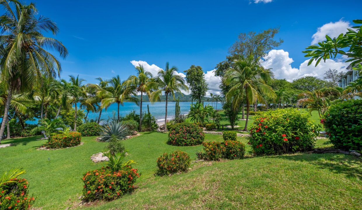 Création sans titre - 3