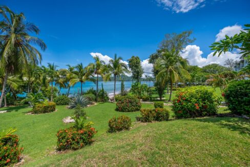 Création sans titre - 3