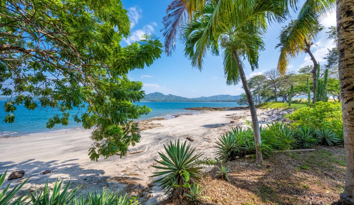 Création sans titre - 6