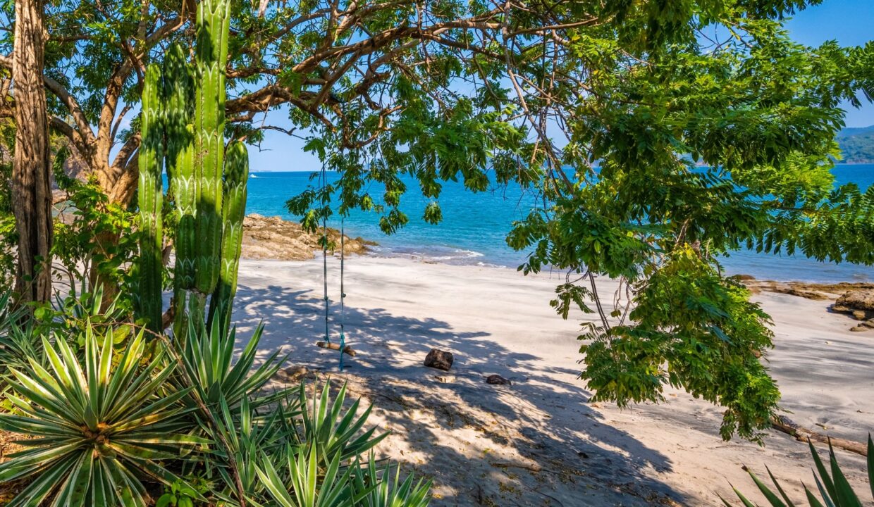 Création sans titre - 5